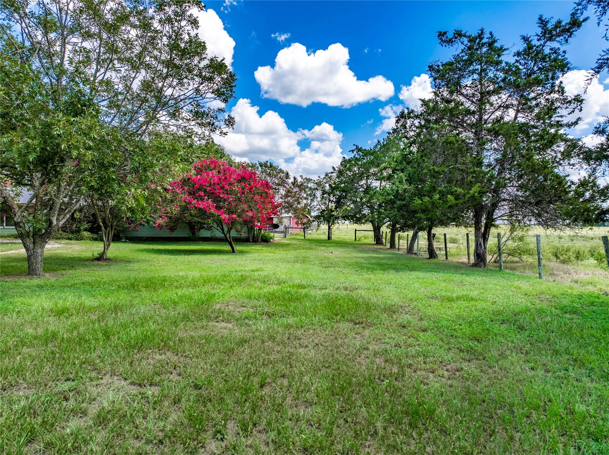 1466 County Road 253