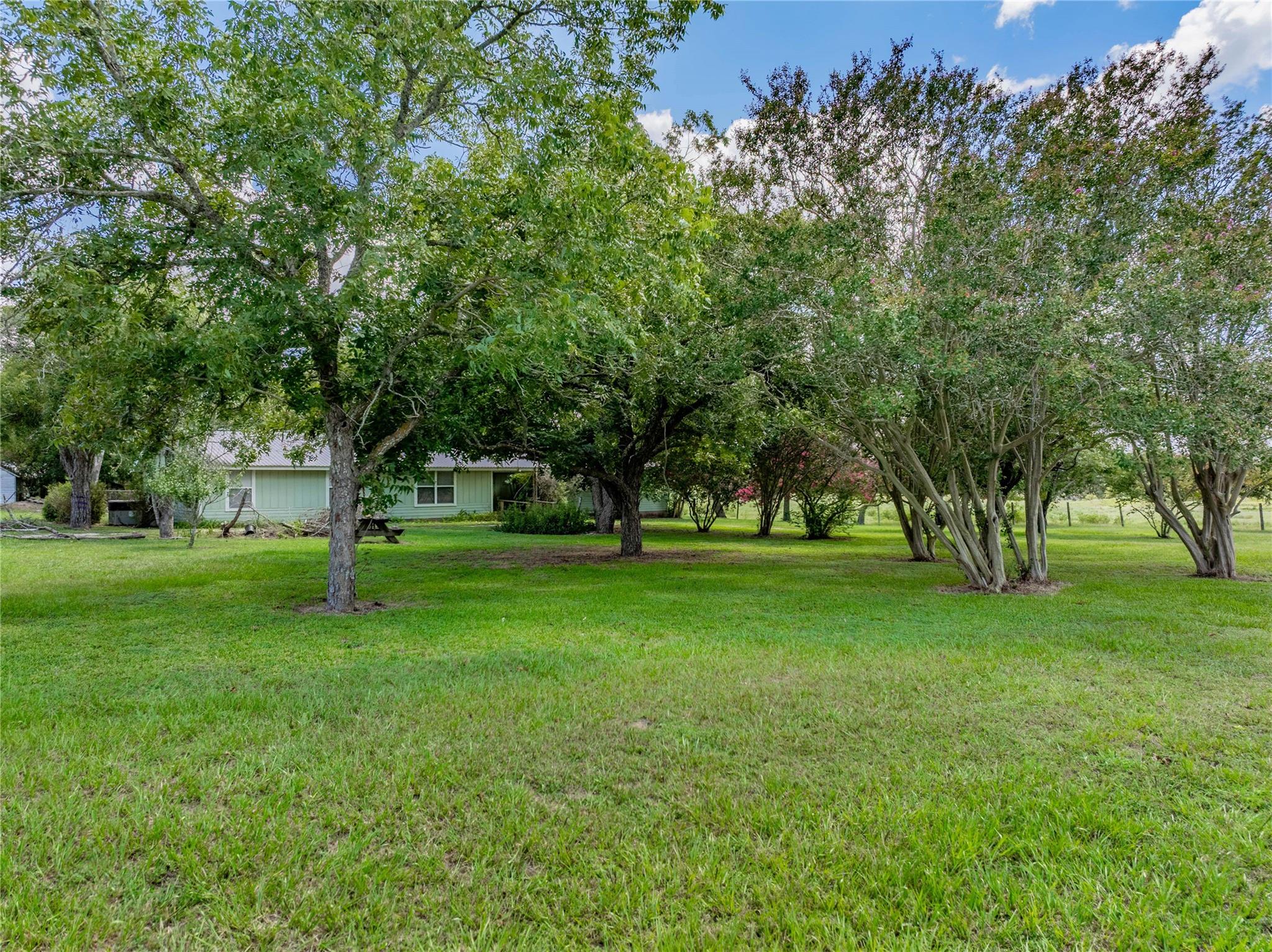 1466 County Road 253