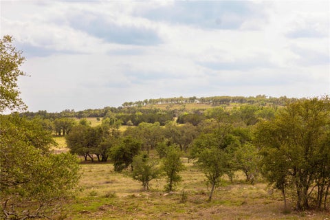 Photo of 2551 Prochnow RD, Dripping Springs, TX 78620 (MLS # 3789578)