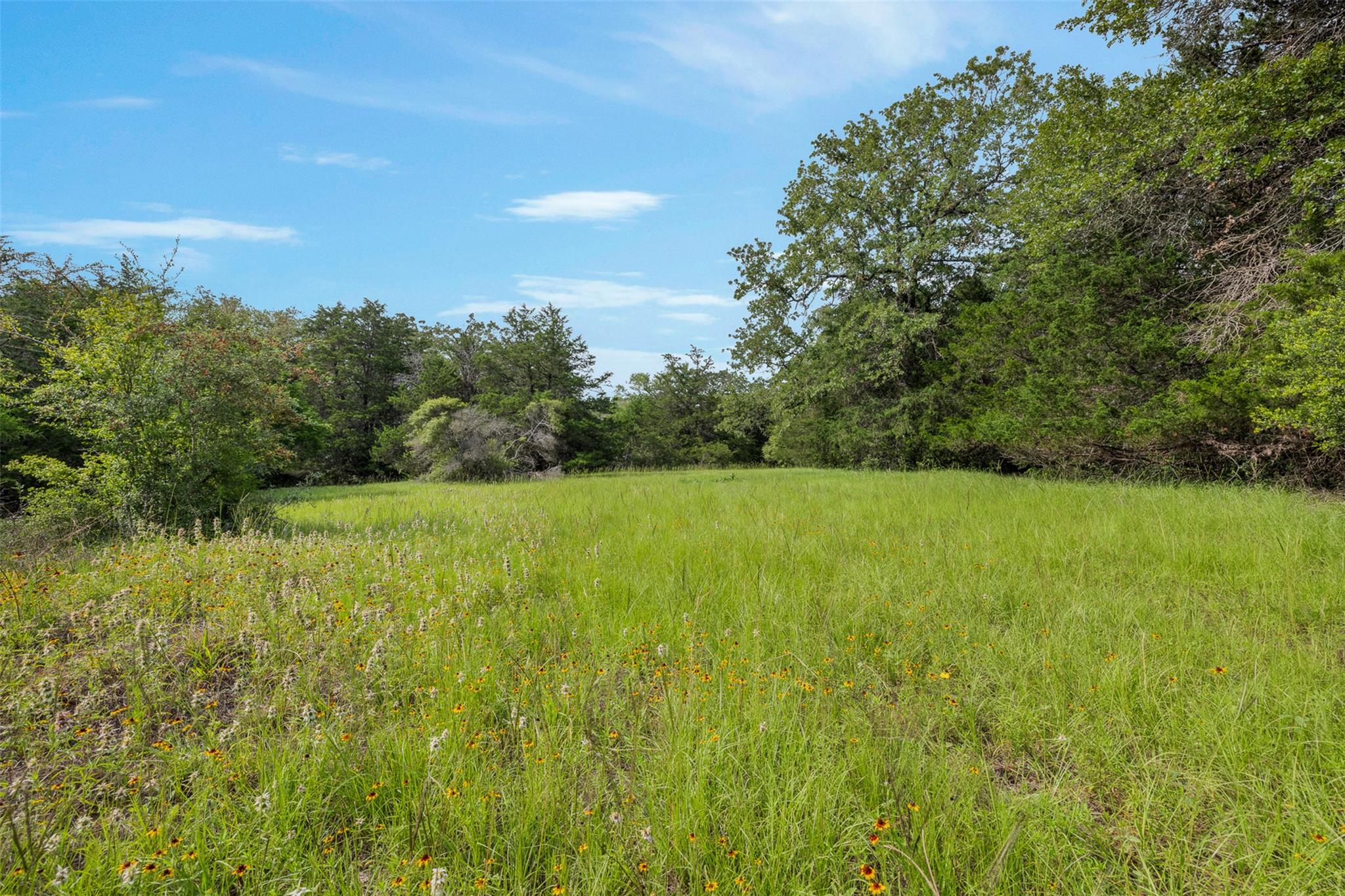 TBD (+/- 15 Acres) County Road 316