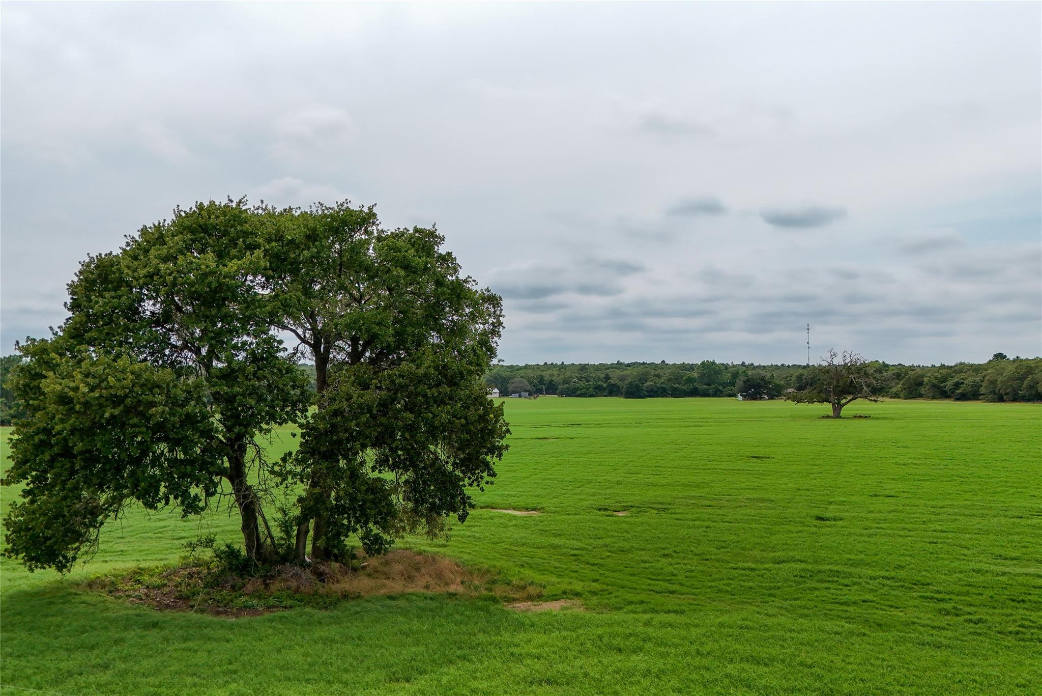 TBD Hwy 290 E Lot 1