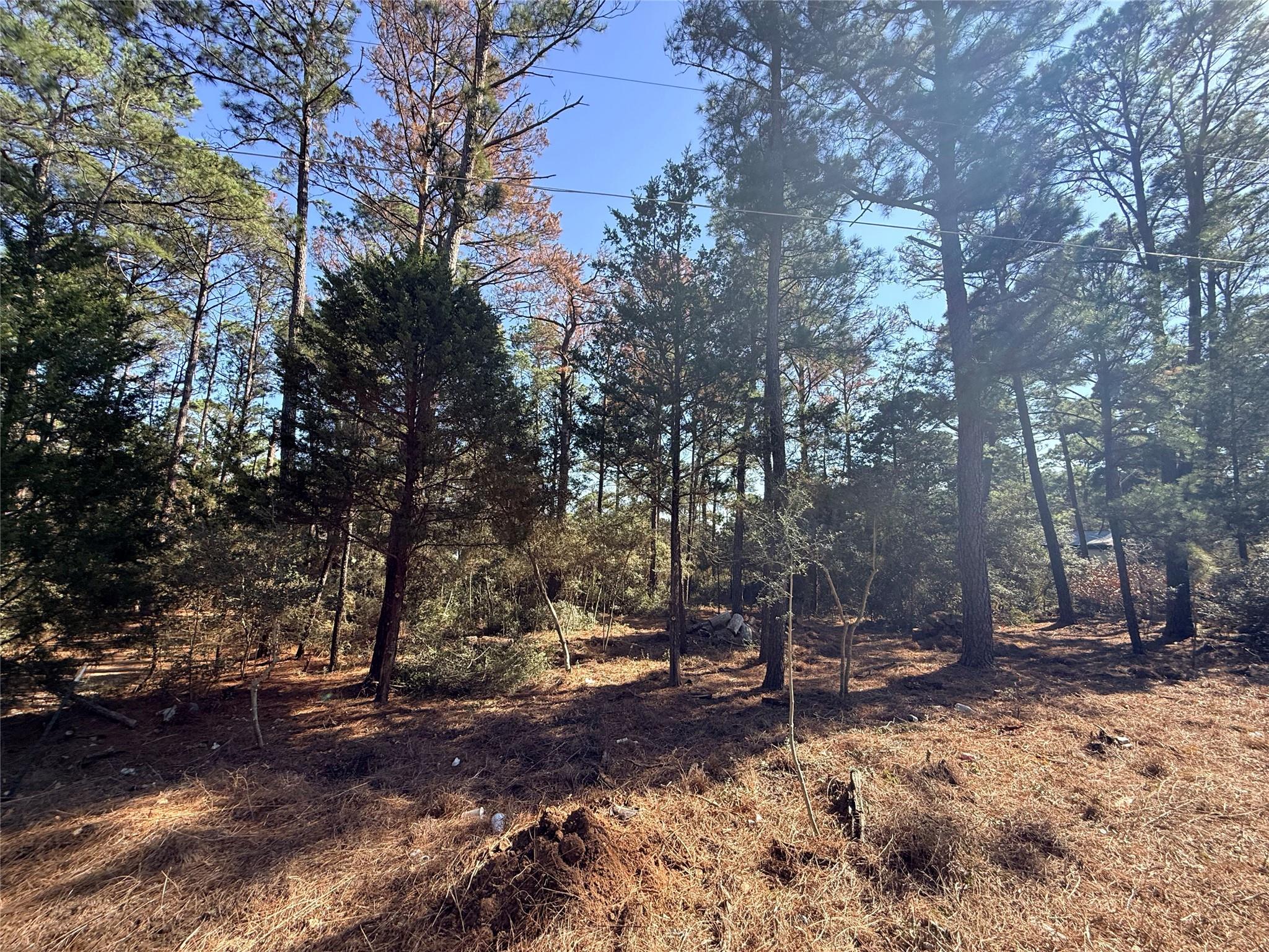 Lot 59 S. Hill Ridge RD