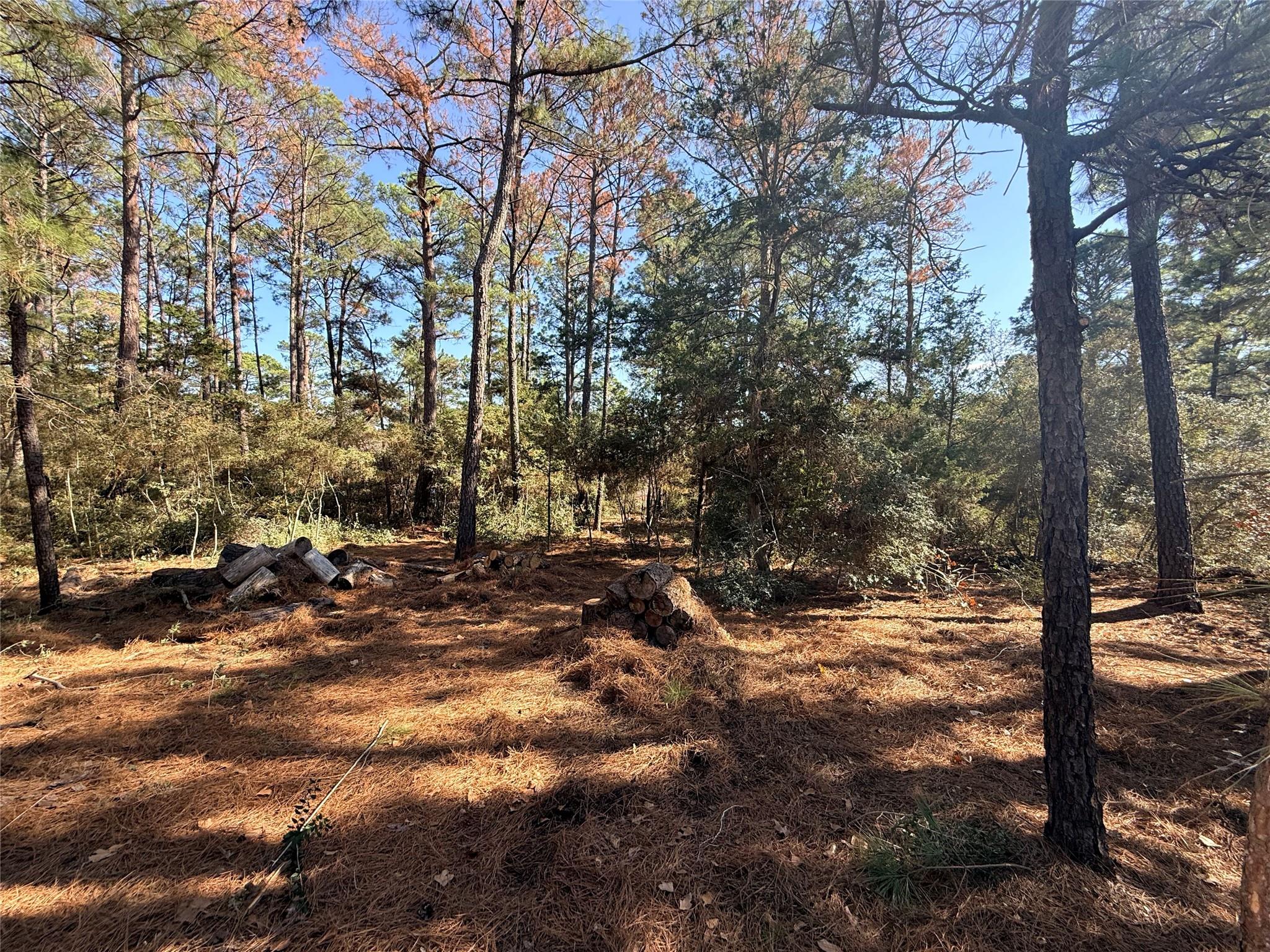 Lot 59 S. Hill Ridge RD
