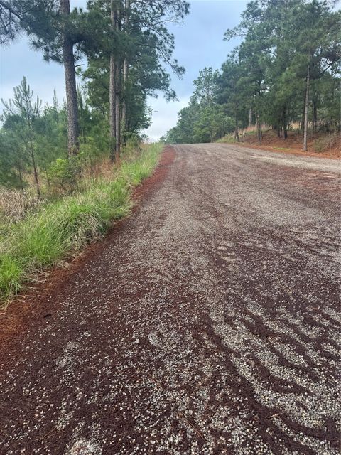 Lot 1490 Haleakala Bastrop TX 78602