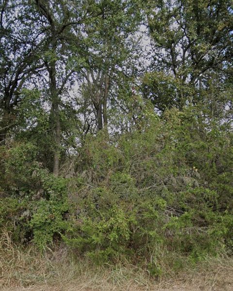 208 Sendero BLVD Cedar Creek TX 78612