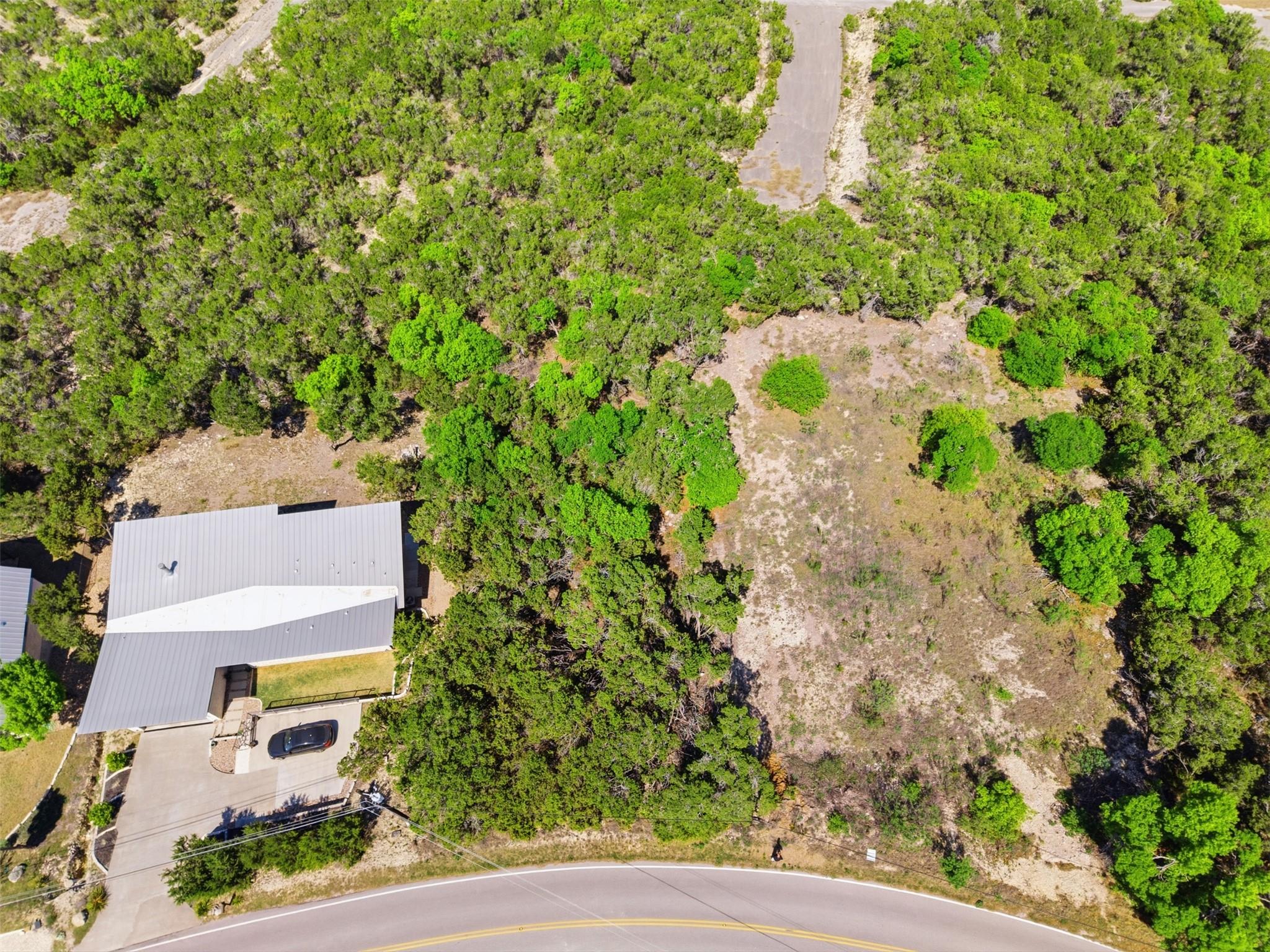 Expansive undeveloped lot featuring dense natural
