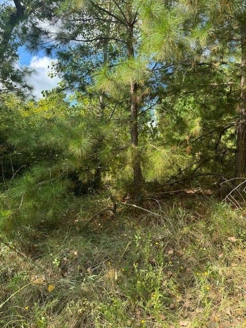 Photo of Lots 1338 and 1339 Tahitian DR, Bastrop, TX 78602 (MLS # 1641122)