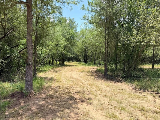 TBD TRACTS - 4,5,6,7 FM 86 HIGHWAY, LULING, TX 78648 - Image a0f0e0d13bc78cd0523e61533804baac/2176431270