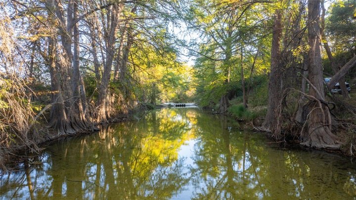 Water view featuring a forest