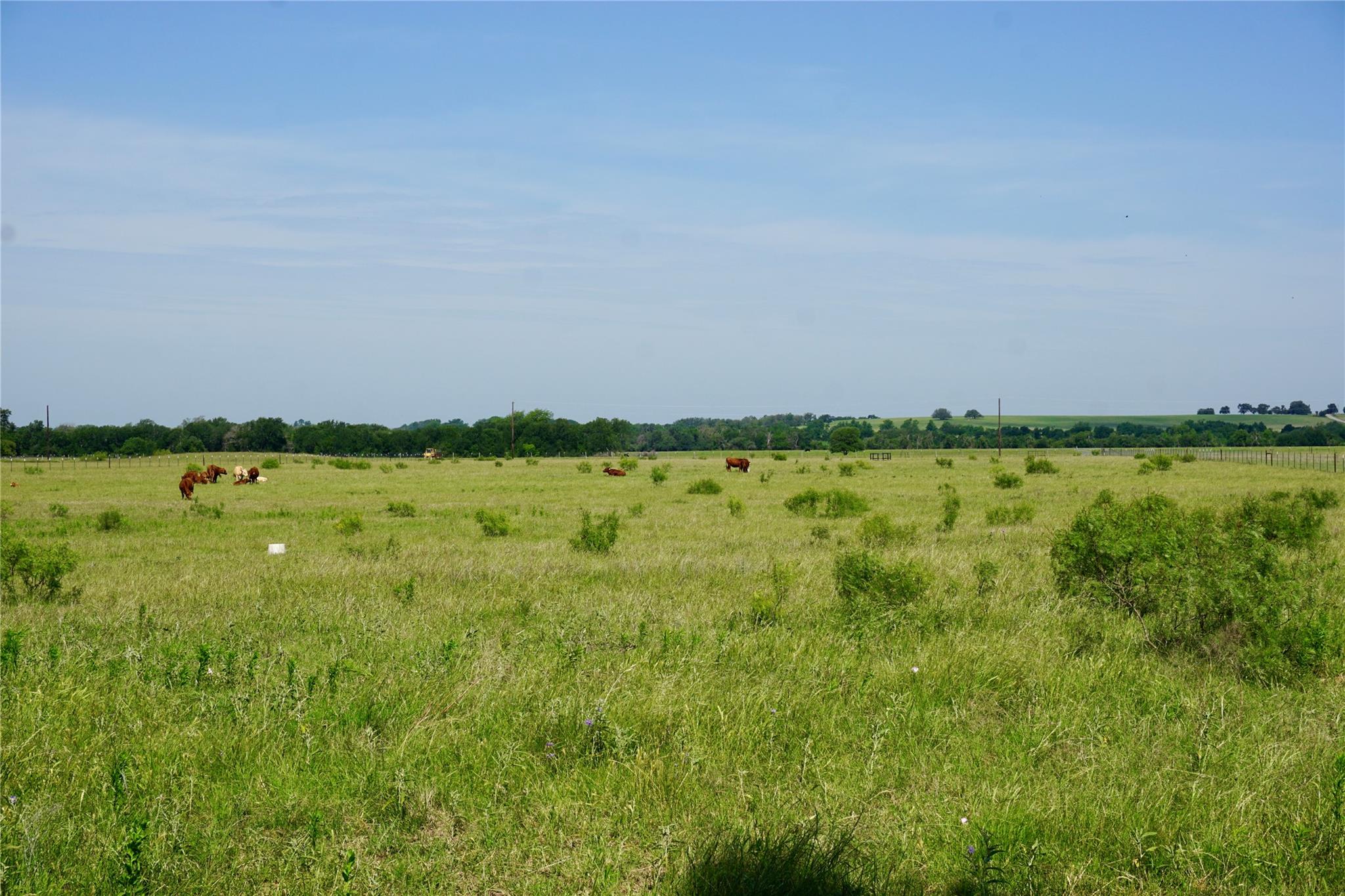 Cr 101 County Road 101 RD