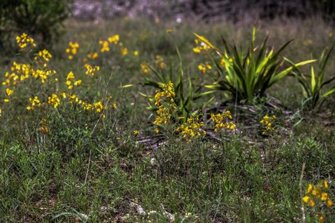 Tiny photo for 18333 Hidden Ridge PL, Leander, TX 78645 (MLS # 8406282)