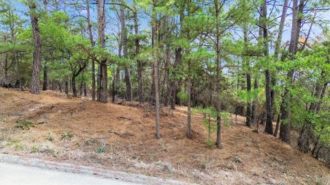 141 Kamaiki DR Bastrop TX 78602