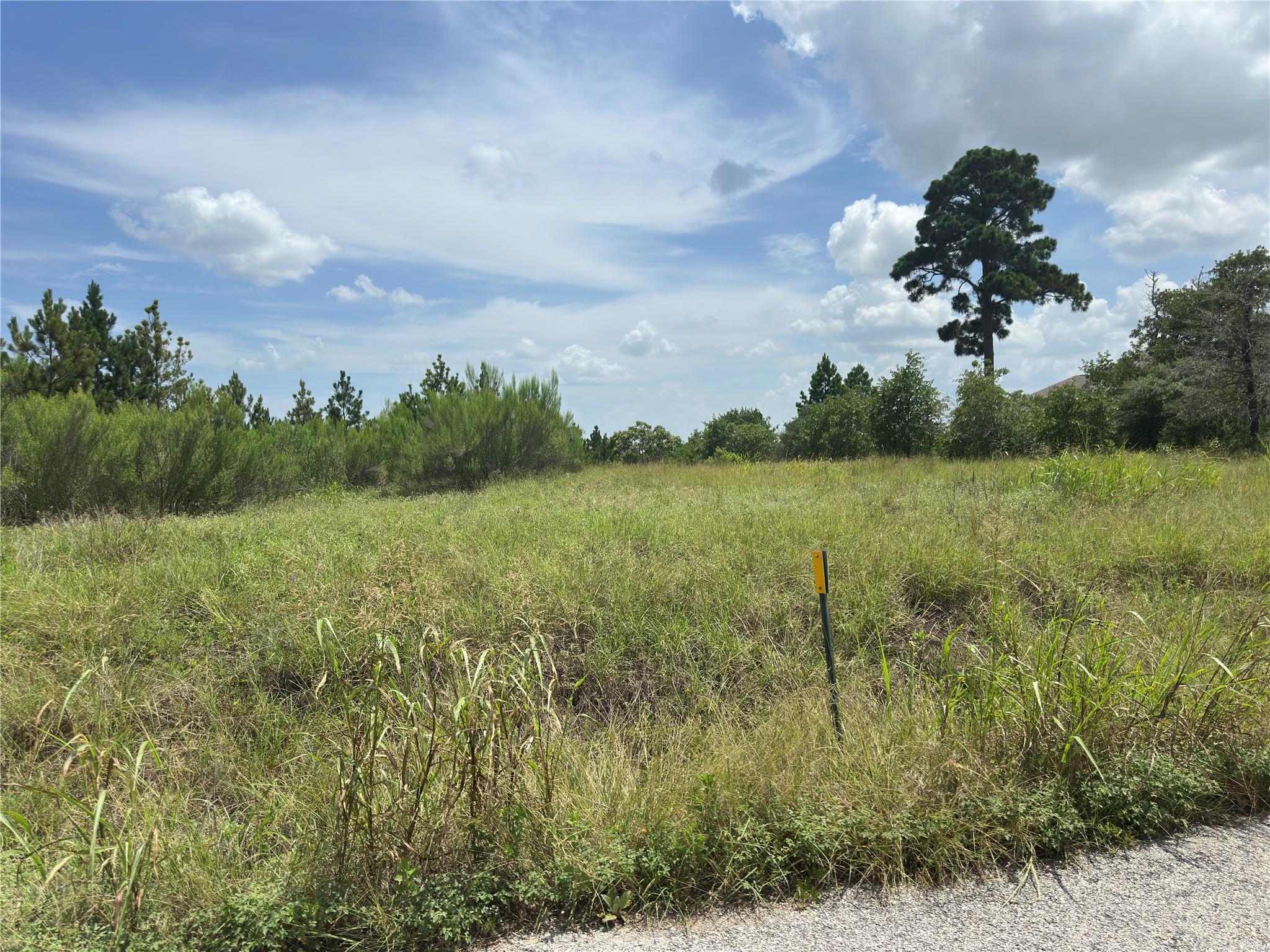 141 Tall Forest DR