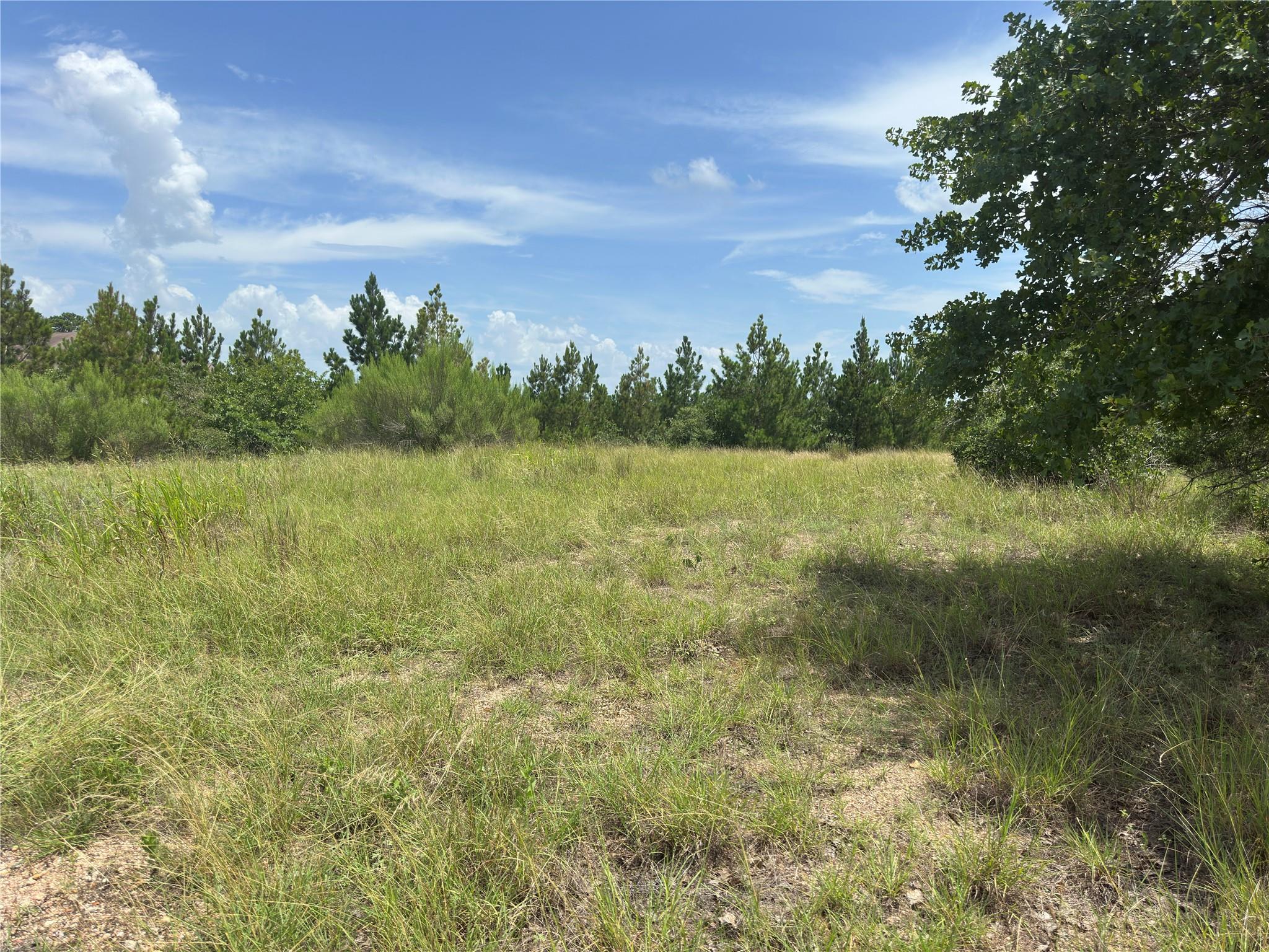 141 Tall Forest DR