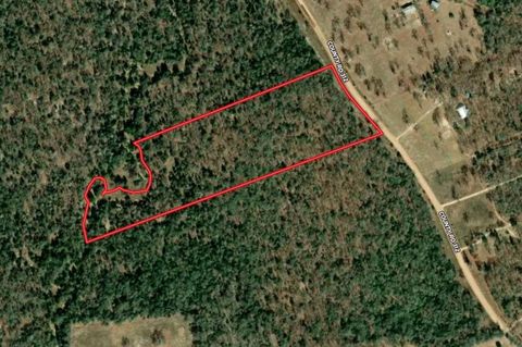 Lot #6 County Road 312 Thrall TX 76578
