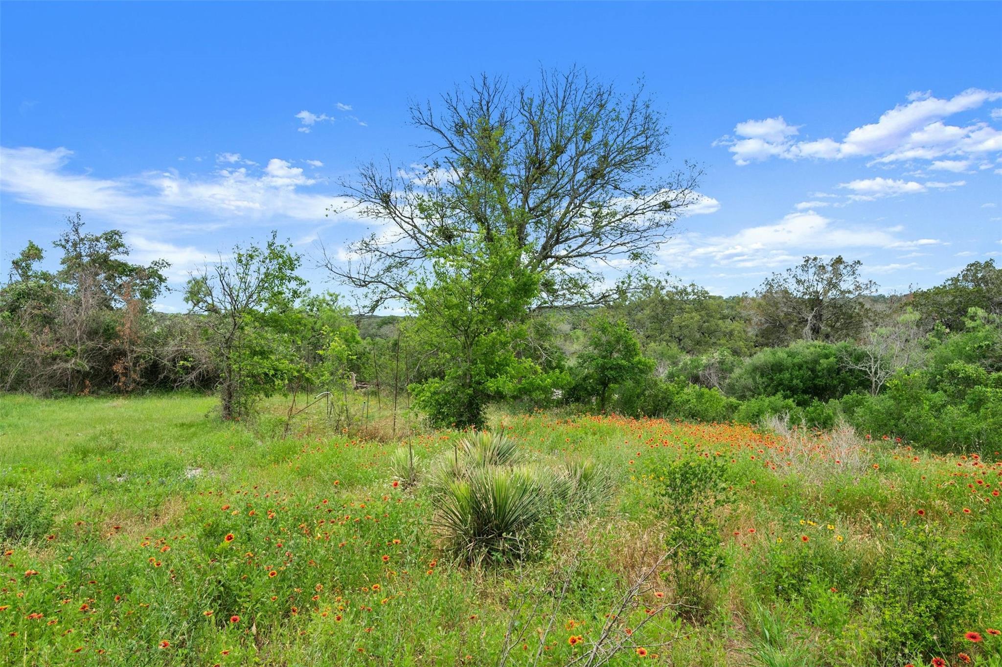 Photo 6 of 7 of 9425 County Road 404 land