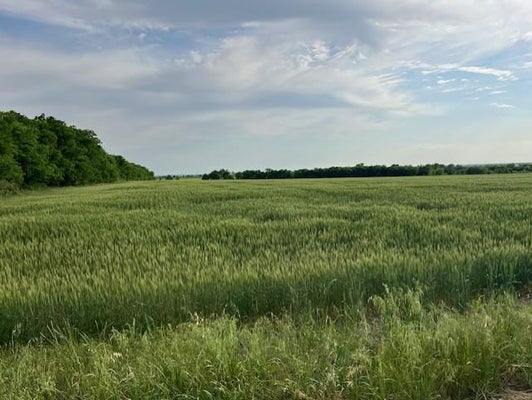 AIRVILLE RD, TEMPLE, TX 76501 - Image a243ba969eb193fcacbf69964c2d5b58/3055729931