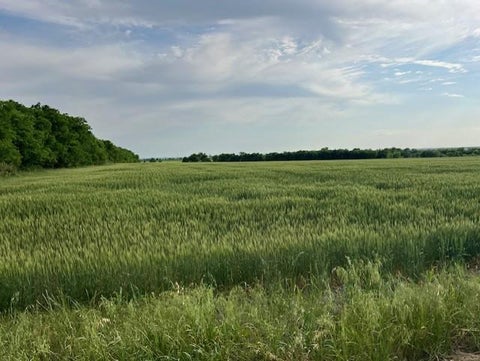 Photo of TBD Tract 3C Airville RD, Temple, TX 76501 (MLS # 5424887)