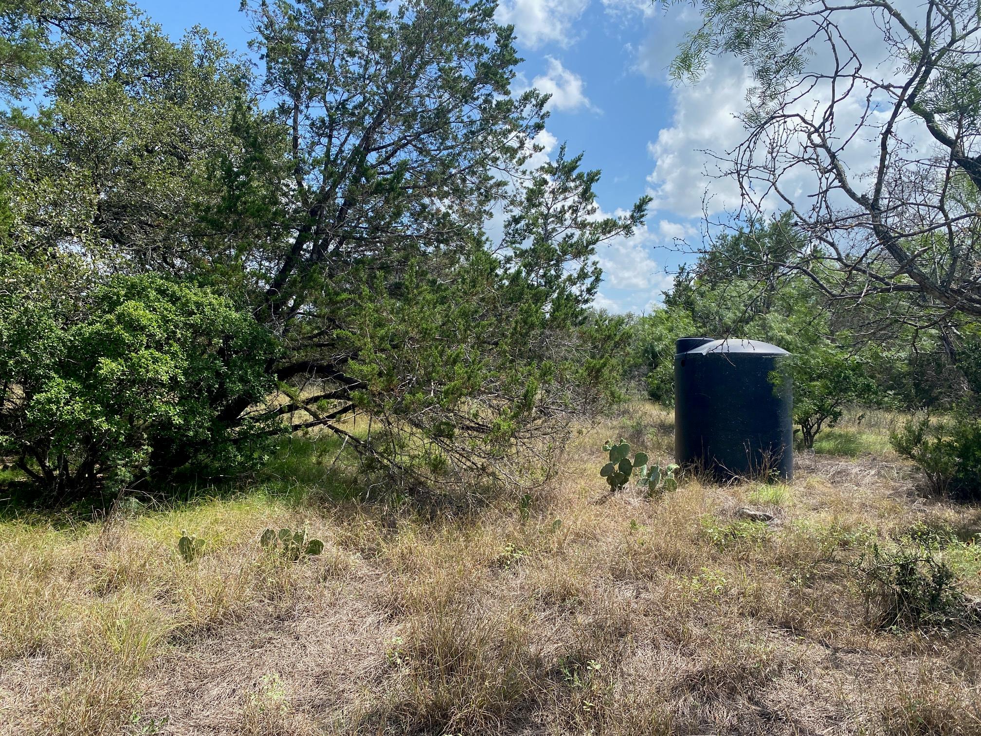 Lot 31 Pedernales Oaks Rd RD