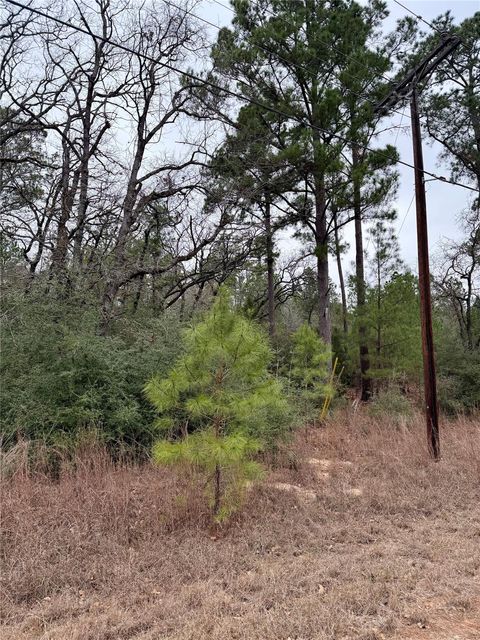 Photo of 000 Makaha DR, Bastrop, TX 78602 (MLS # 6295233)