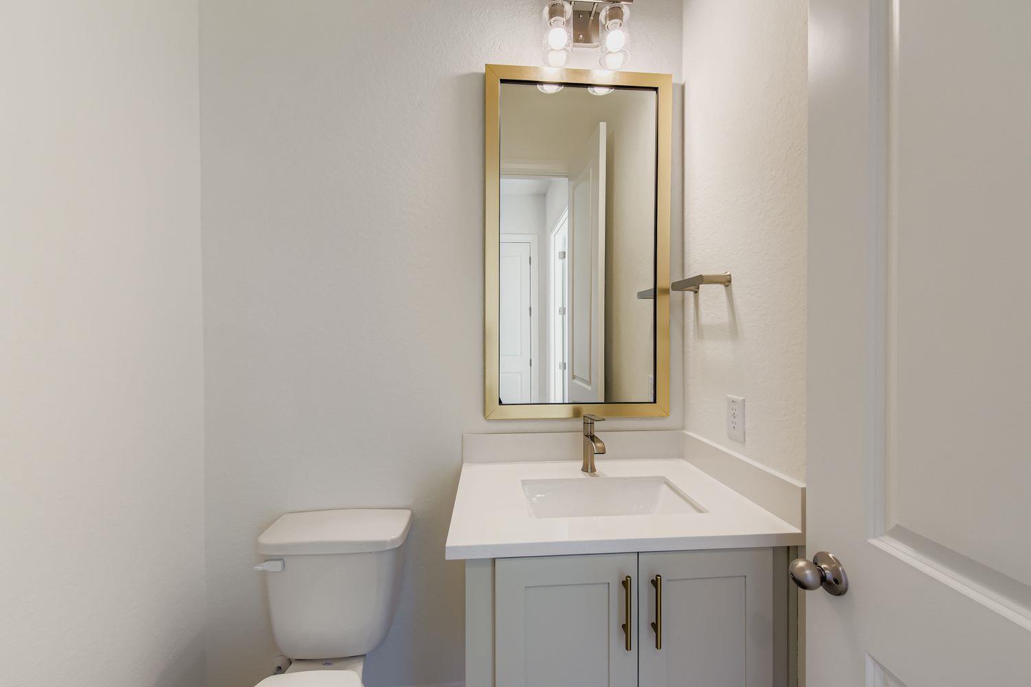 395 Prickly Poppy LOOP