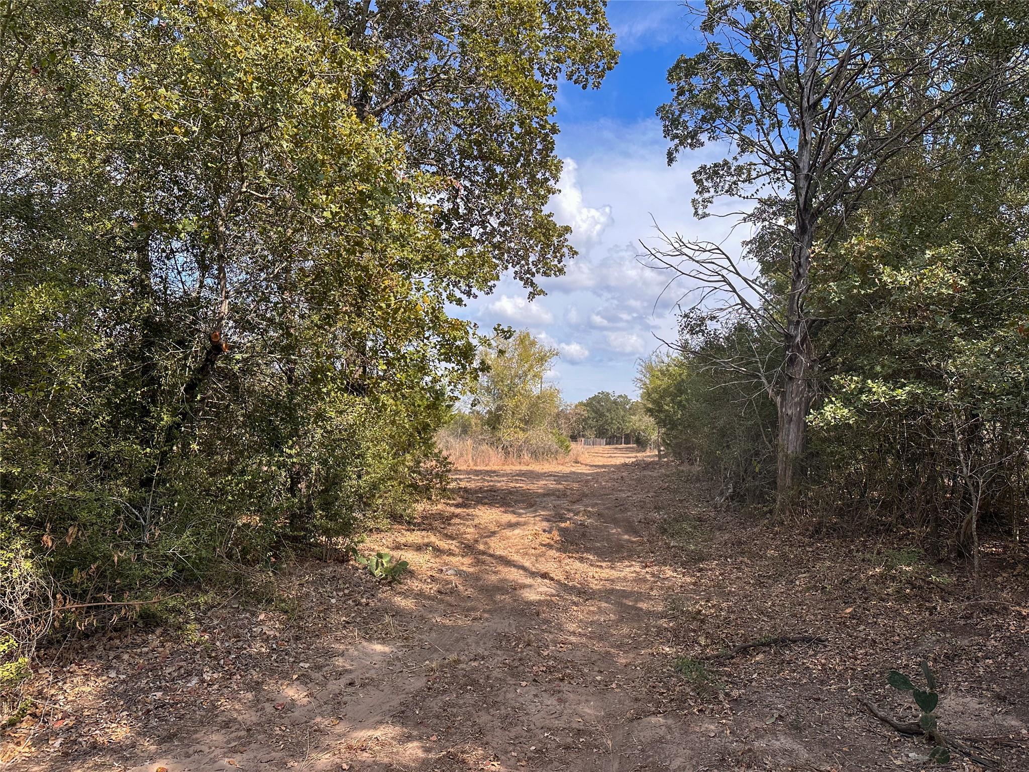 TBD Walter Hoffman RD