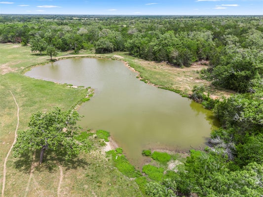 TBD 95 HIGHWAY, FLATONIA, TX 78941 - Image a2c8e94c3c8f7193acf6edae4cd3a5c5/2527721296
