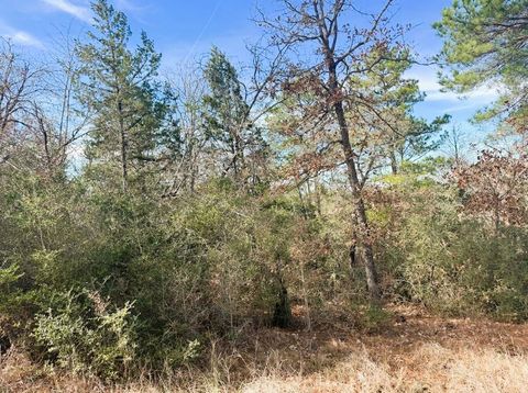 Photo of 106 Olomana CT, Bastrop, TX 78602 (MLS # 2170653)