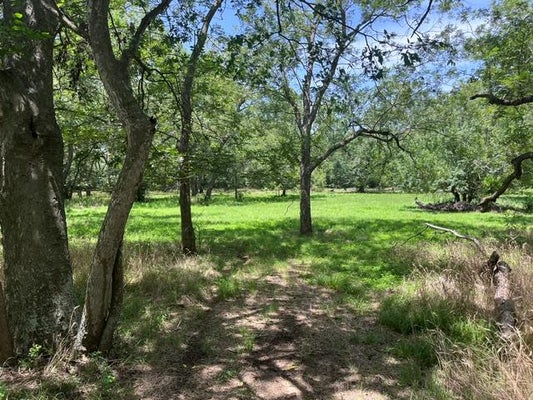 344 BATEMAN RD, RED ROCK, TX 78662 - Image a31b03fd4e1fa776d14537e343a9b6c1/3696029664