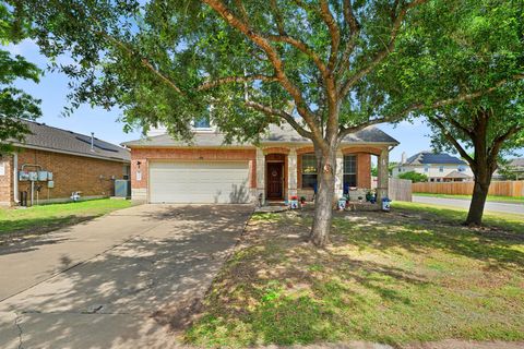 Photo of 20316 Merlin Falcon TRL, Pflugerville, TX 78660 (MLS # 7320723)