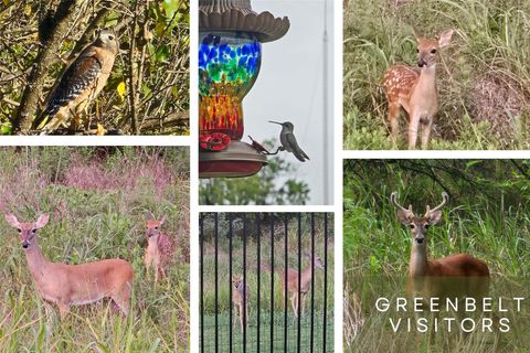 Tiny photo for 12617 Iron Bridge DR, Manchaca, TX 78652 (MLS # 3441573)