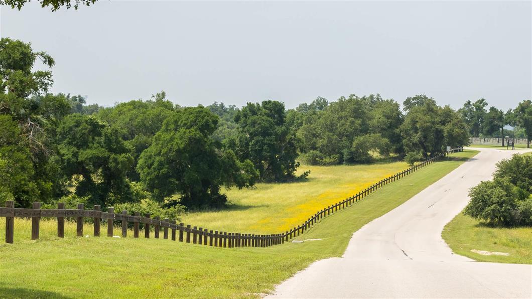 1401 Cypress Paul ST