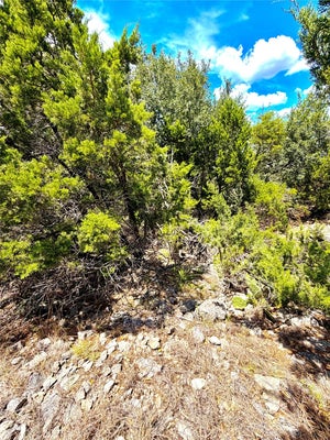 886 MIMOSA CT, FISCHER, TX 78623 - Image a3c58efa51236624fadbddbfff2d6895/3254628072