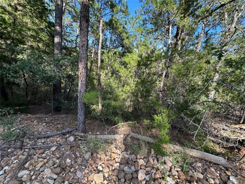 Photo of 169 Molokini DR, Bastrop, TX 78602 (MLS # 8055745)
