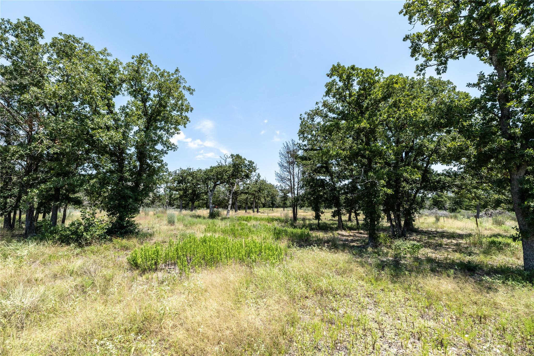Tract 3 Edgewood Trail RD