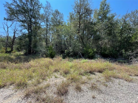 Photo of Lot 1112 Kawanui DR, Bastrop, TX 78602 (MLS # 4970720)