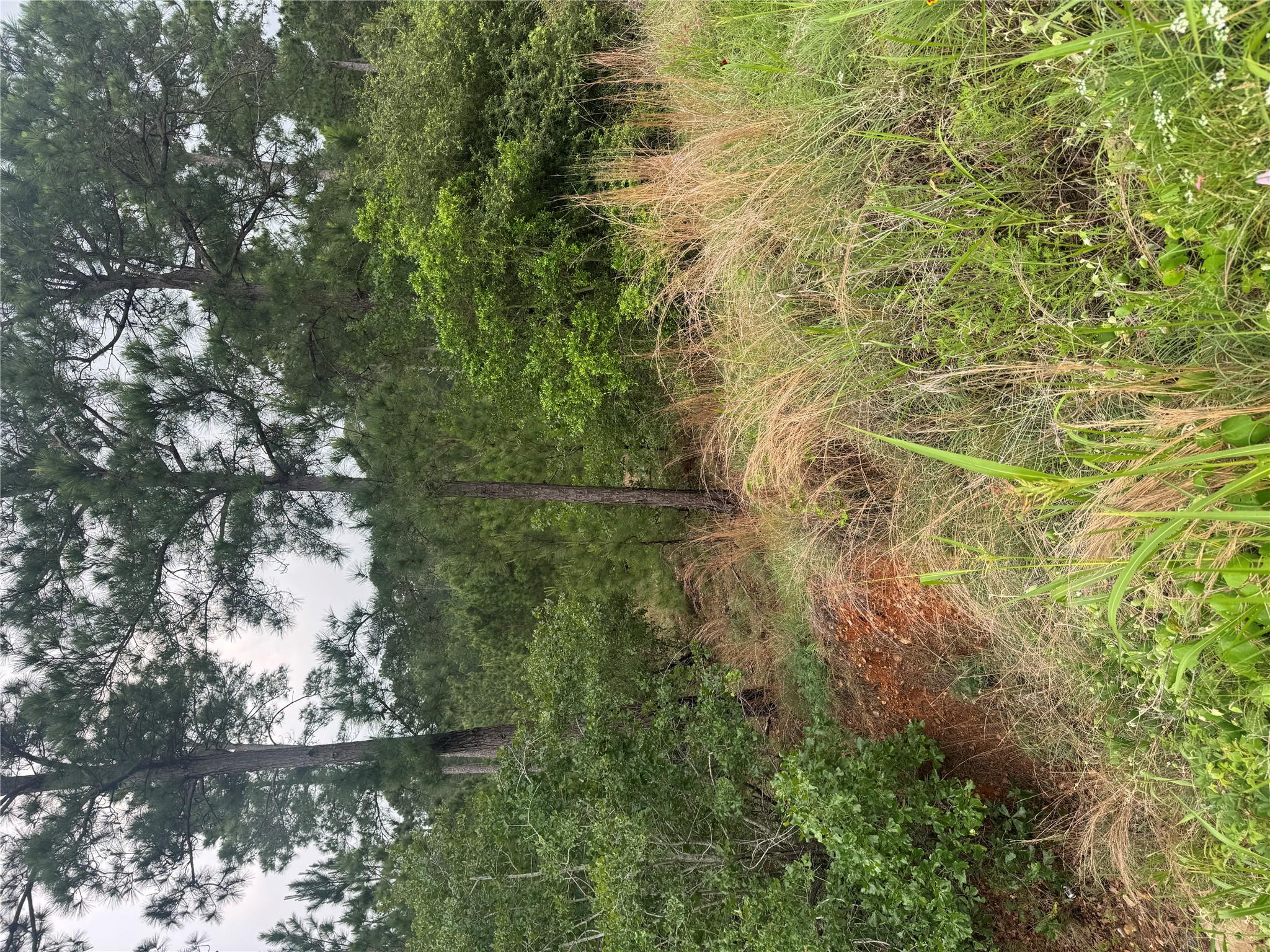 Lots 1612, 1613, 1614 Kaanapali LN