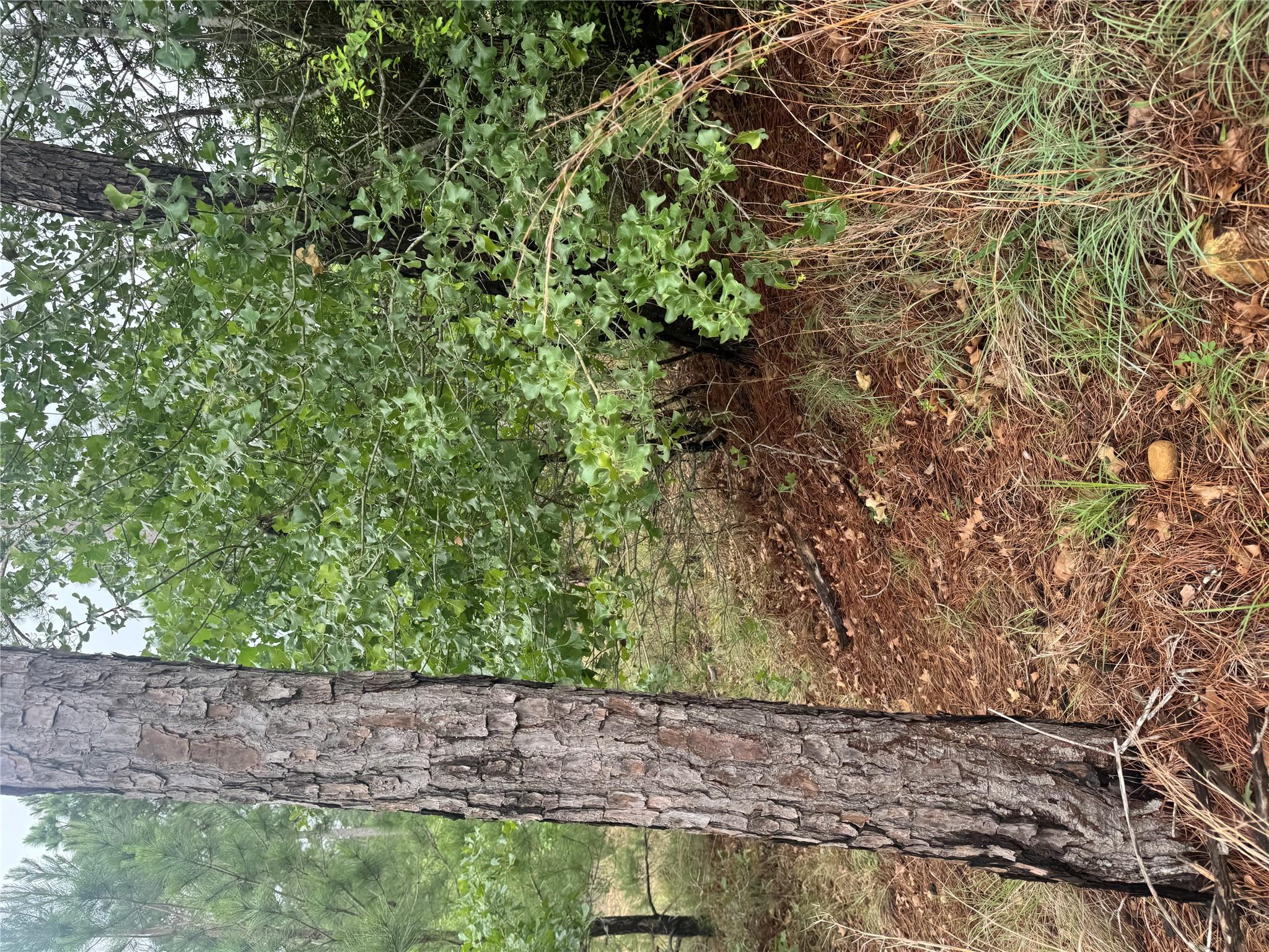 Lots 1612, 1613, 1614 Kaanapali LN