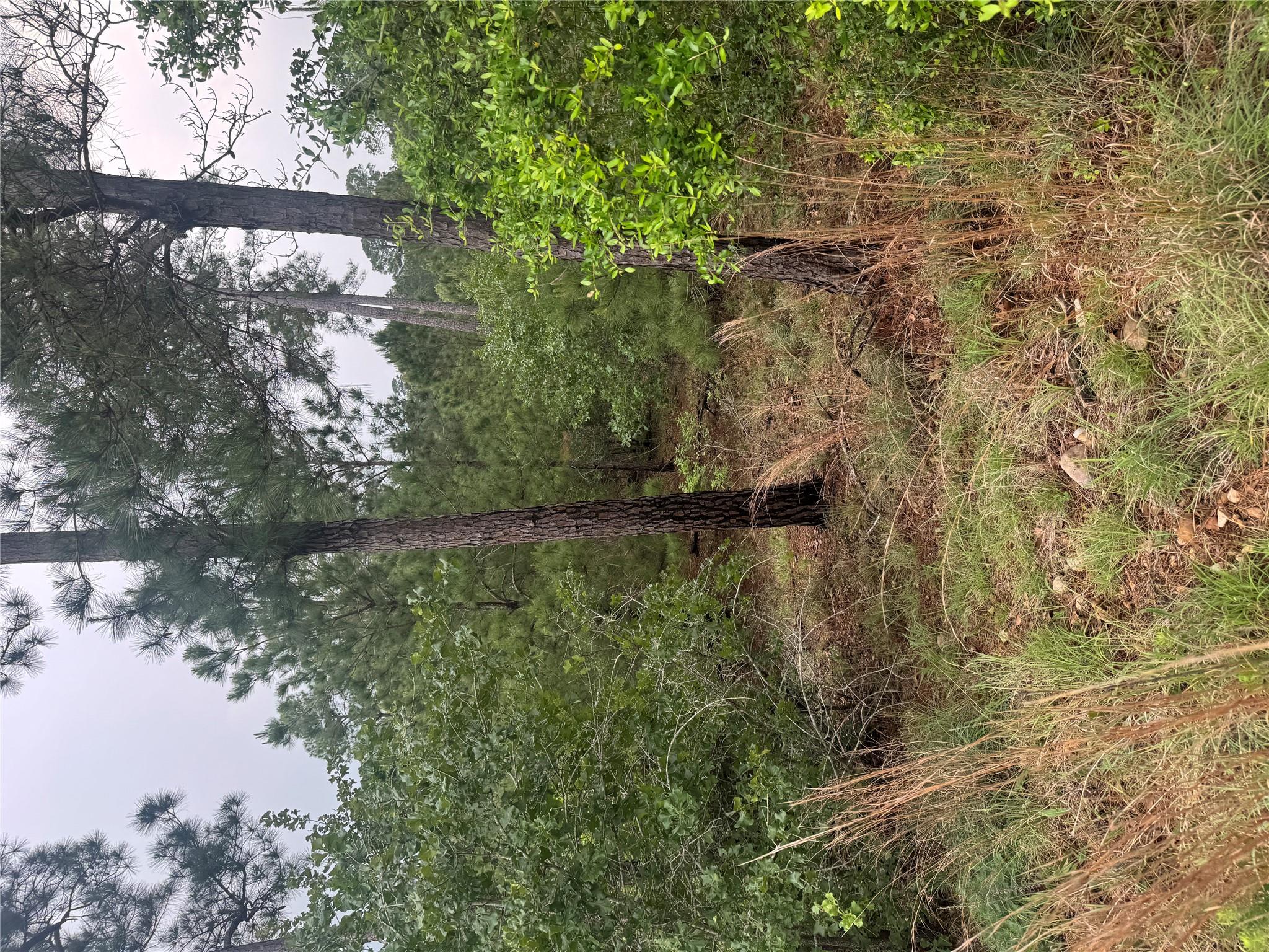 Lots 1612, 1613, 1614 Kaanapali LN