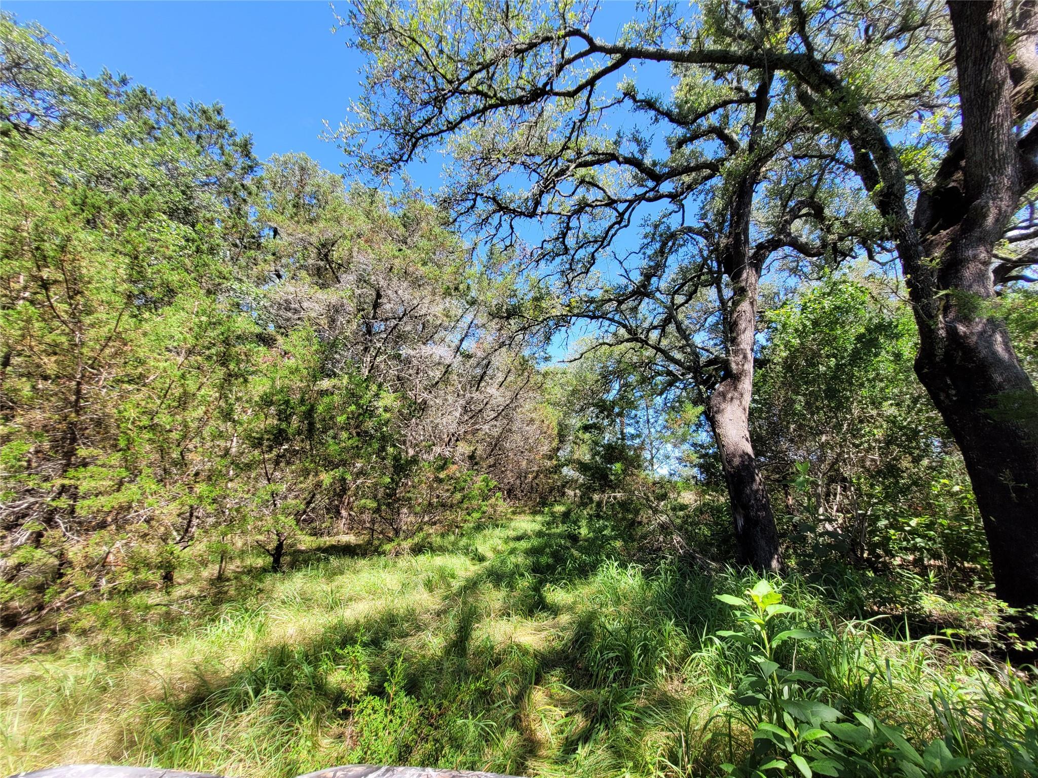 TBD CR 1139 575 Acres