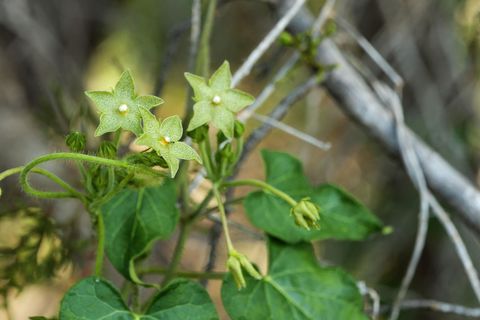 Photo of 17503 Lake Shore DR, Dripping Springs, TX 78620 (MLS # 1901097)