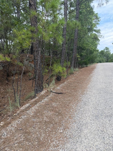 Photo of Lot 214 Hekili DR, Bastrop, TX 78602 (MLS # 5820604)