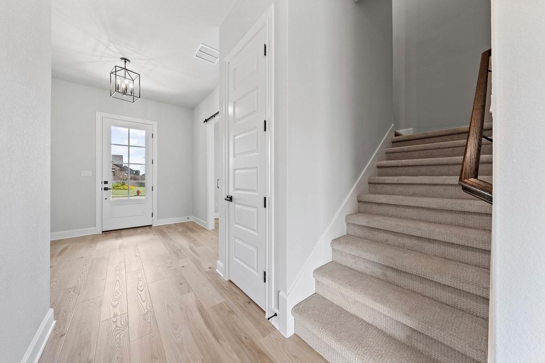 110 Nandina PATH