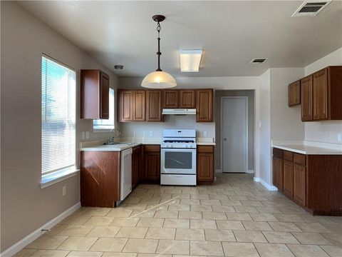 Photo of 161 Peppergrass CV, Kyle, TX 78640 (MLS # 9609909)