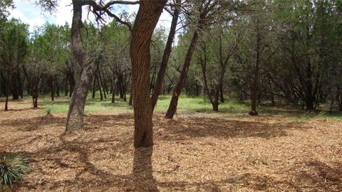 36 Travis Oaks DR Marble Falls TX 78654