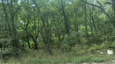 4102 Lower DR Austin TX 78725