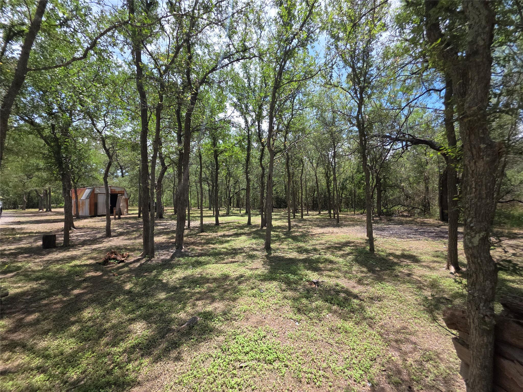 184 Oak Forest CT