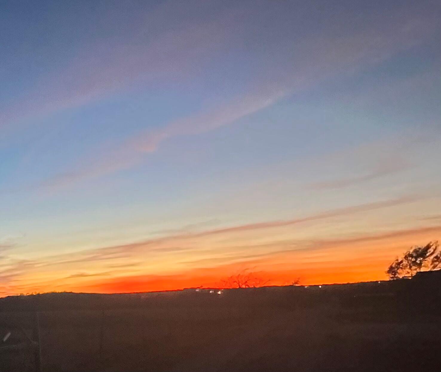 410 Simmons Family Farm RD