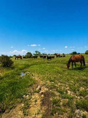 ADDRESS PRIVATE, HAMILTON, TX 76531 - Image a7f2c57fa290fda3379b8ef5d1ad1864/1655392429