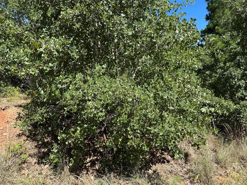 Photo of TBD N. Pahihi DR, Bastrop, TX 78602 (MLS # 6691949)